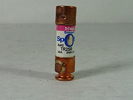 MERSEN TR25R 25AMP 250 VOLT TIME DELAY FUSE RK5 2"X9/16